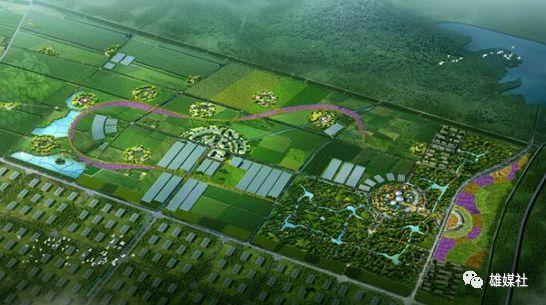 推动苗木,花卉的育种和栽培研发,建设现代农业设施园区